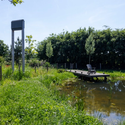 vijver